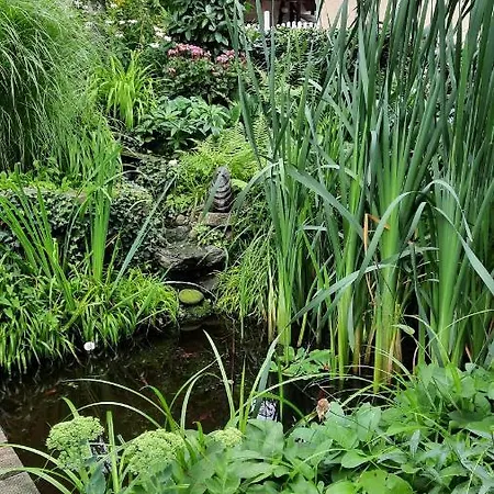 Am Teich Appartement Kamp-Bornhofen Buitenkant foto